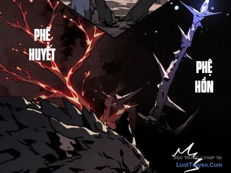 Thành Thần Bắt Đầu Từ Một Hồ Nước Chapter 19 - Trang 2