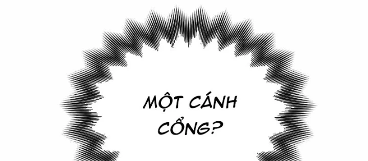 Cách Một Tử Linh Sư Cấp Thảm Họa Nghỉ Hưu Chapter 46 - Trang 2