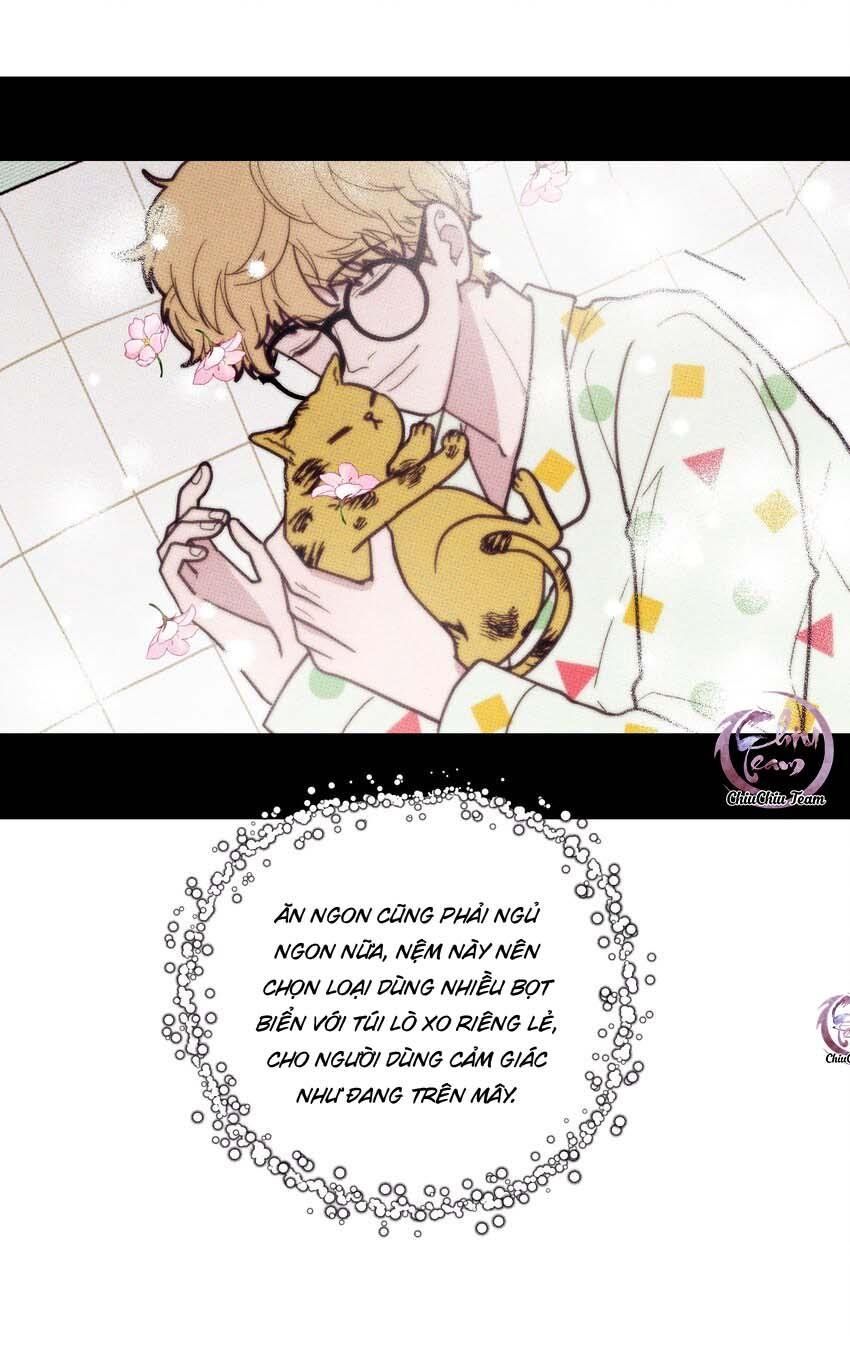 Hộp Bánh Quy Định Mệnh Chapter 13 - Trang 2
