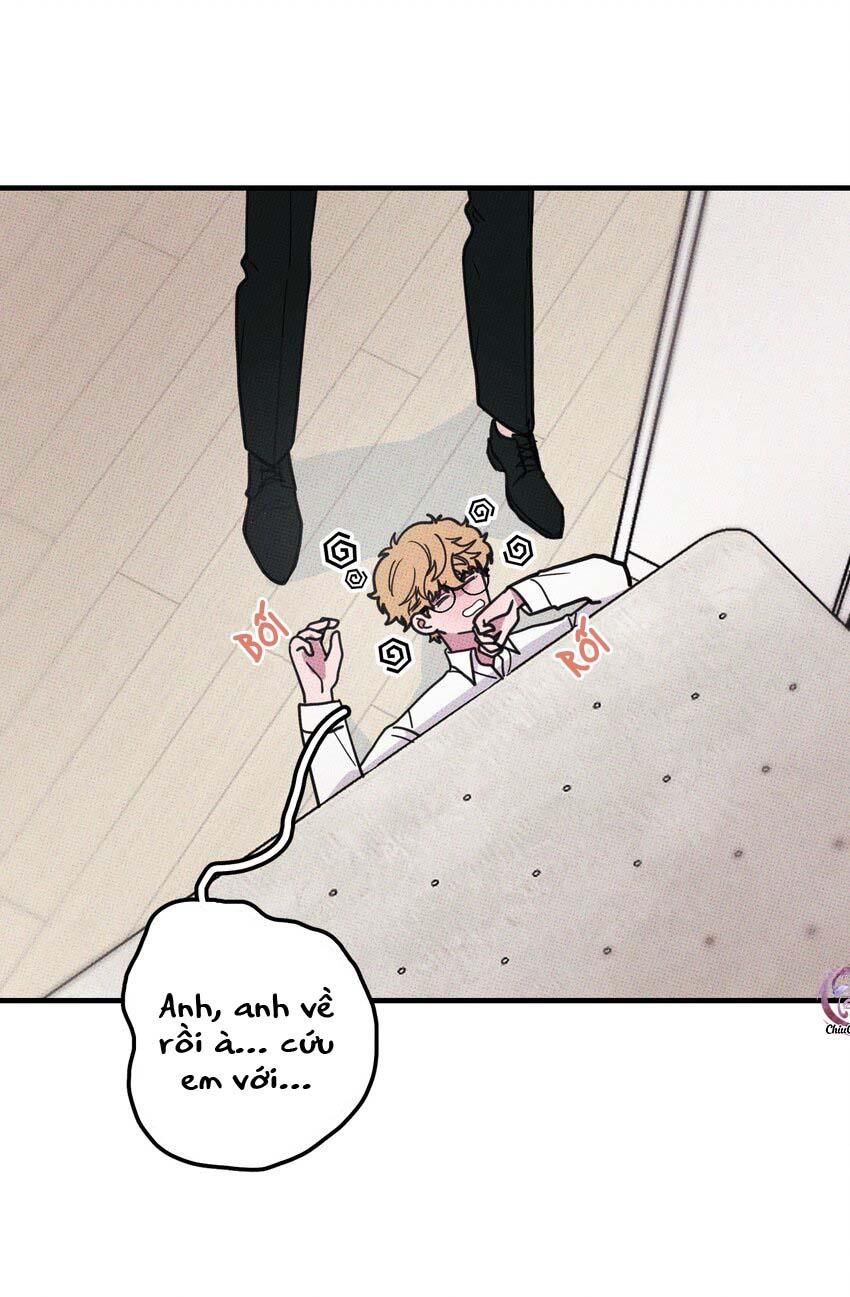 Hộp Bánh Quy Định Mệnh Chapter 13 - Trang 2