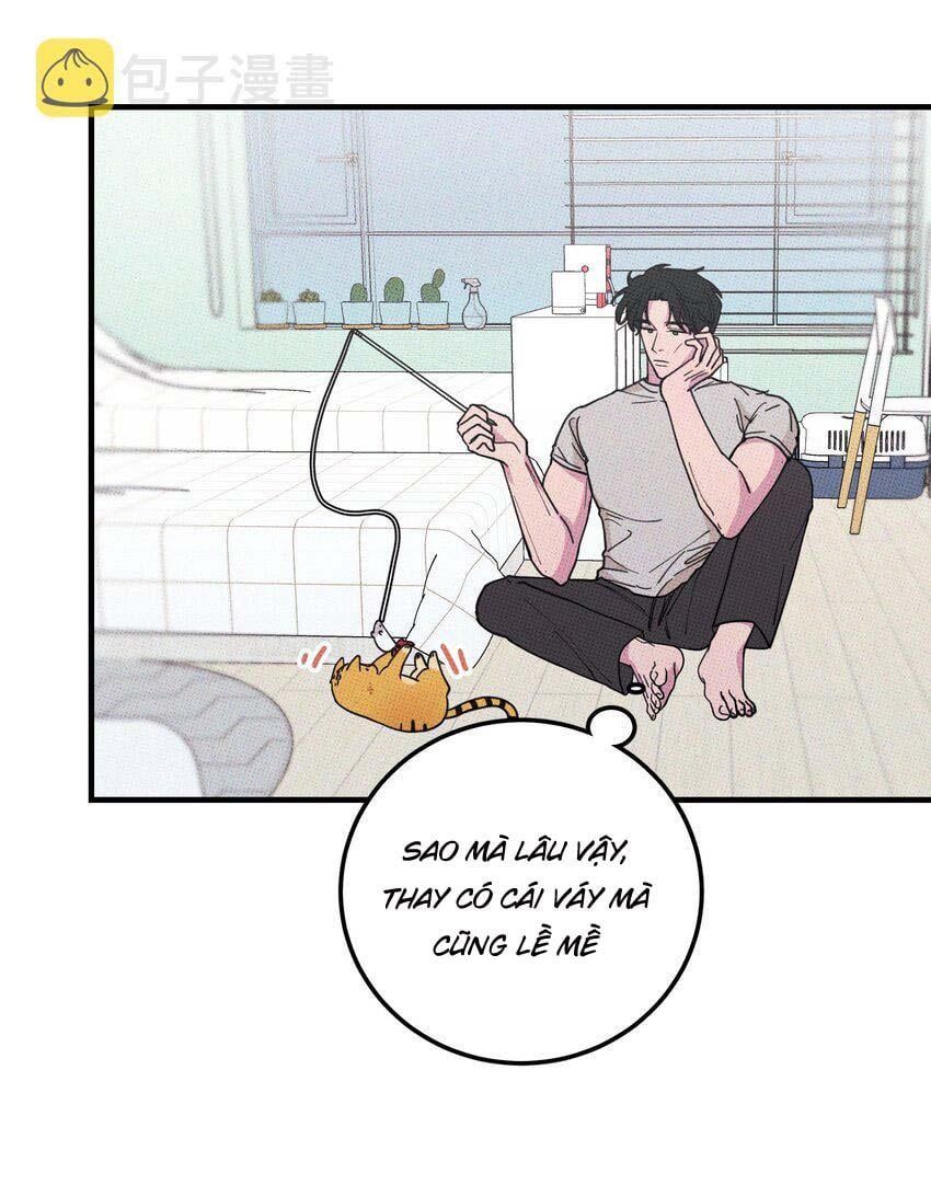 Hộp Bánh Quy Định Mệnh Chapter 20 - Trang 2
