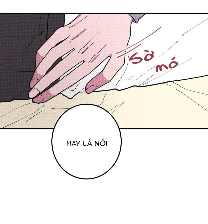 Hộp Bánh Quy Định Mệnh Chapter 46 - Trang 2