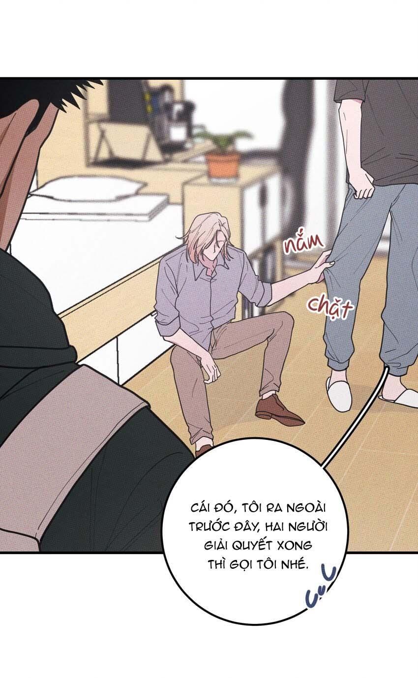 Hộp Bánh Quy Định Mệnh Chapter 48 - Trang 2