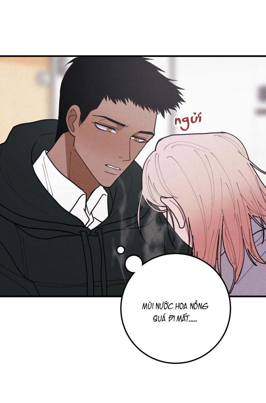 Hộp Bánh Quy Định Mệnh Chapter 48 - Trang 2
