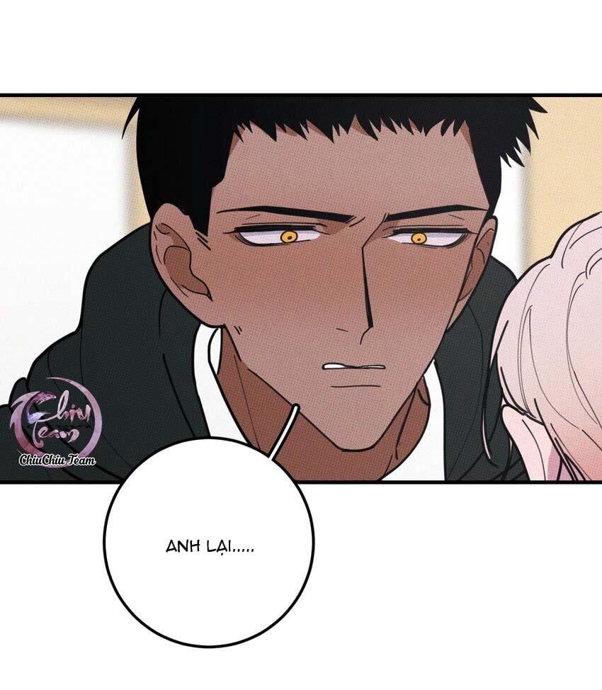 Hộp Bánh Quy Định Mệnh Chapter 48 - Trang 2