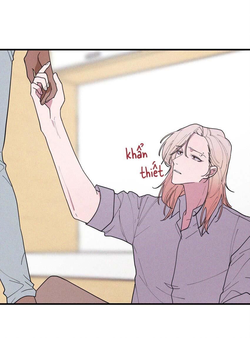 Hộp Bánh Quy Định Mệnh Chapter 48 - Trang 2