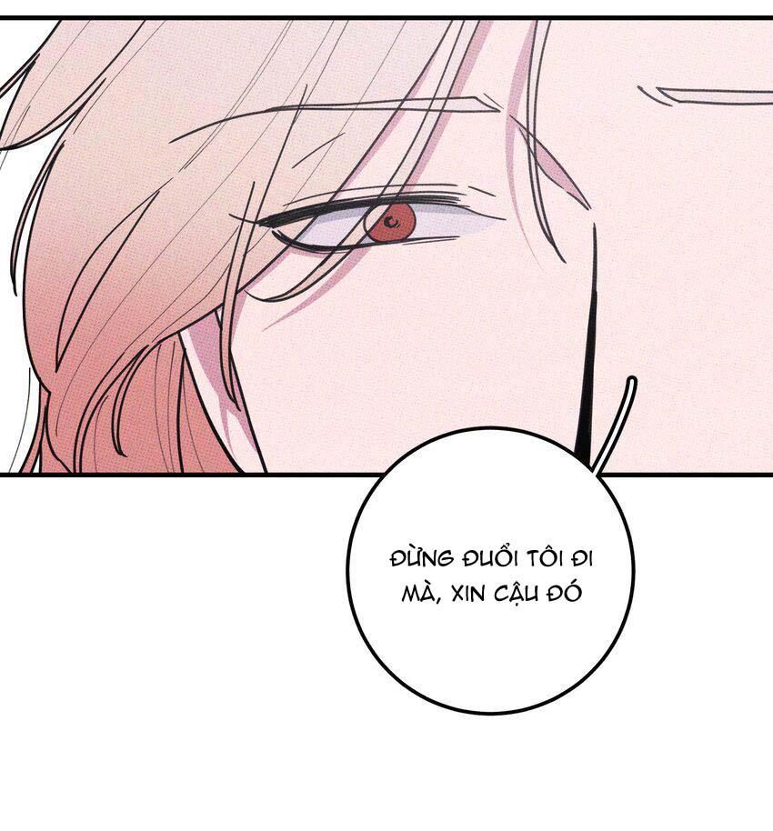 Hộp Bánh Quy Định Mệnh Chapter 48 - Trang 2