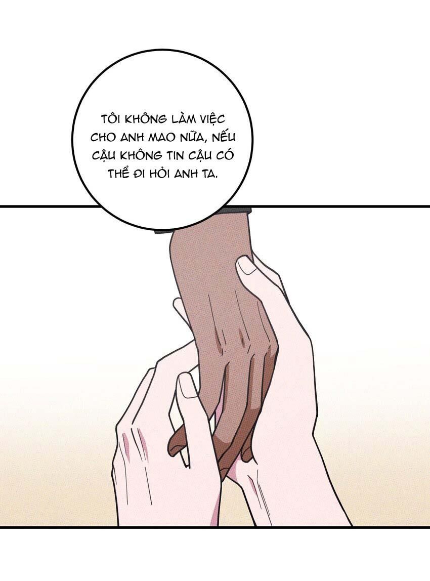 Hộp Bánh Quy Định Mệnh Chapter 48 - Trang 2