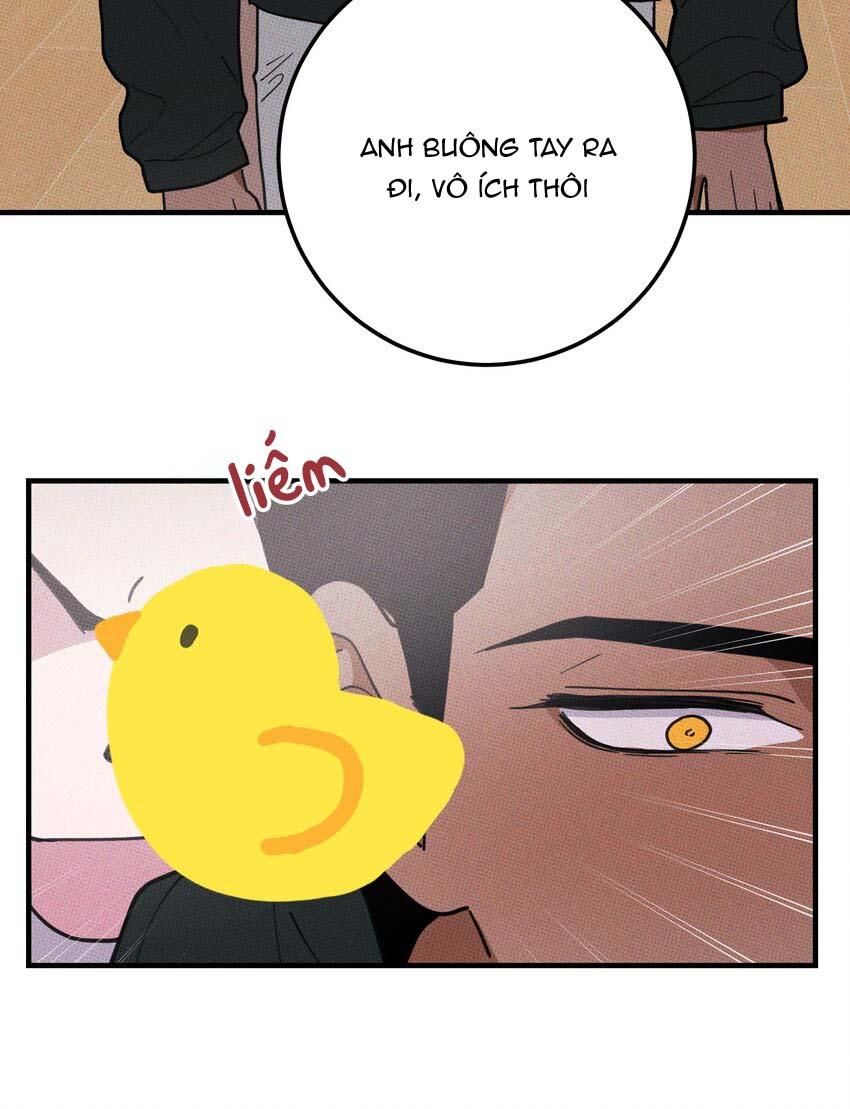 Hộp Bánh Quy Định Mệnh Chapter 48 - Trang 2