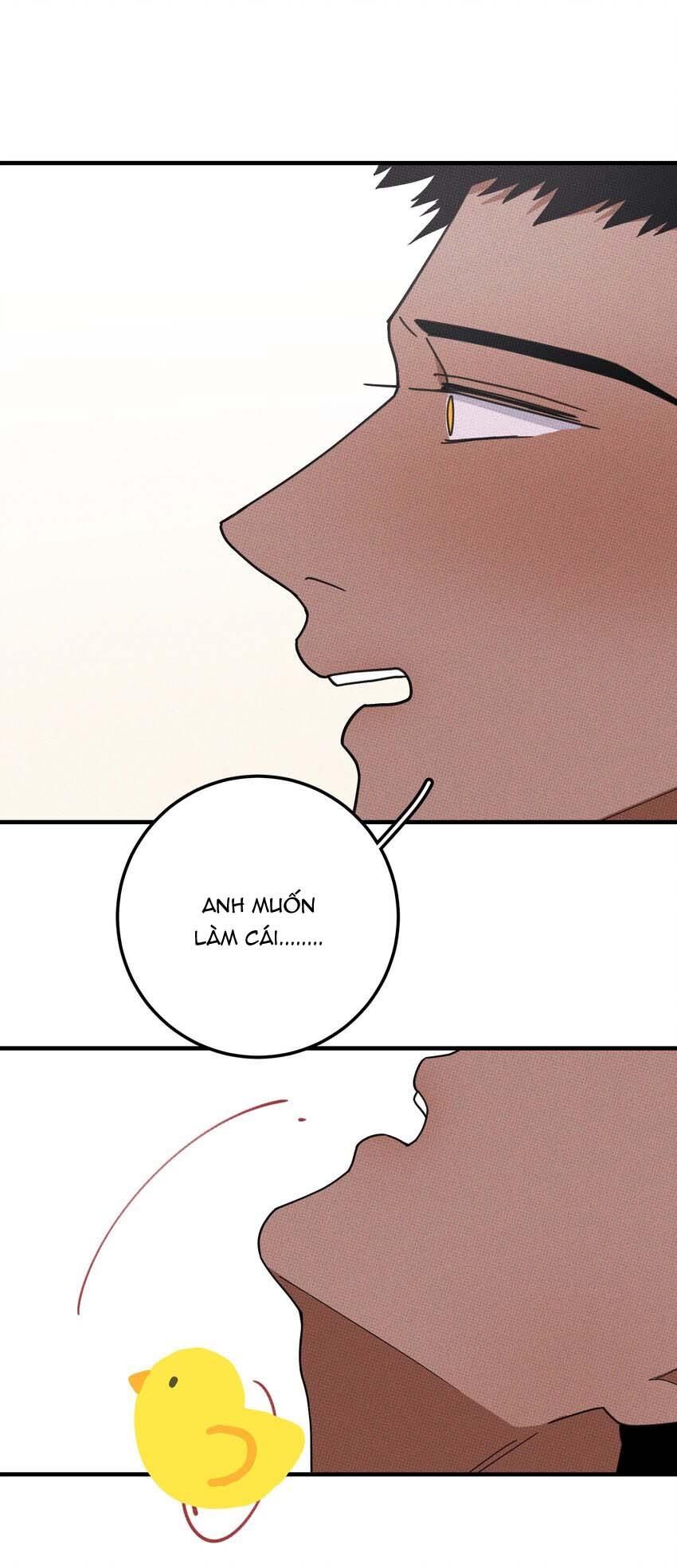 Hộp Bánh Quy Định Mệnh Chapter 48 - Trang 2