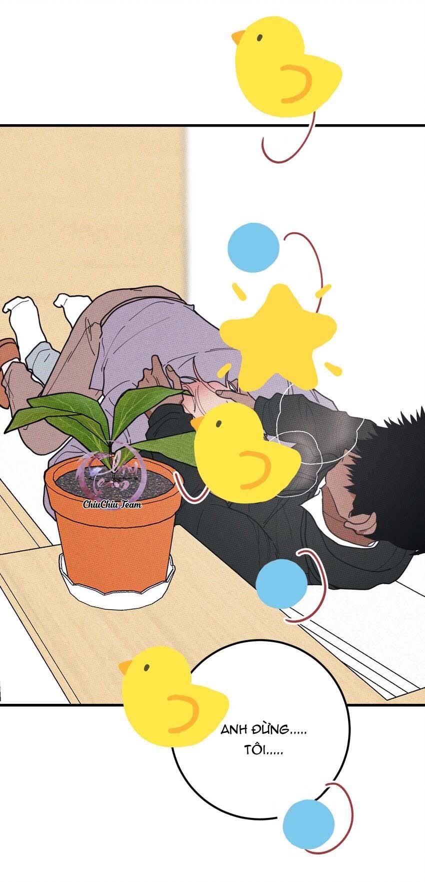 Hộp Bánh Quy Định Mệnh Chapter 48 - Trang 2
