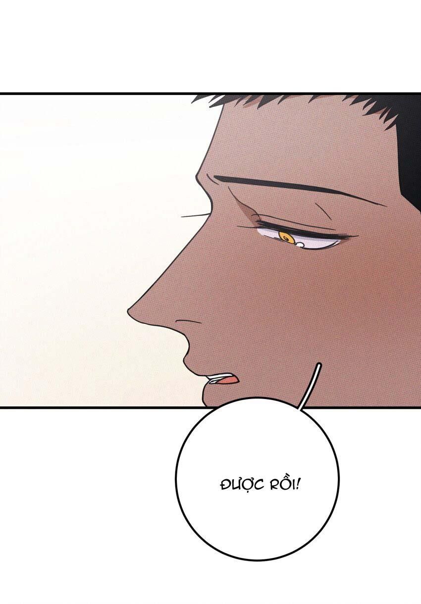 Hộp Bánh Quy Định Mệnh Chapter 48 - Trang 2