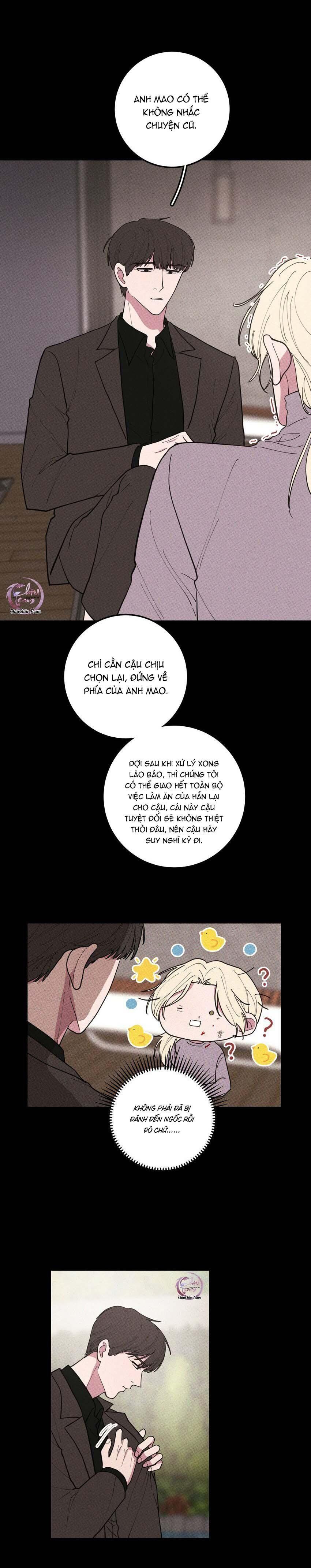 Hộp Bánh Quy Định Mệnh Chapter 49 - Trang 2