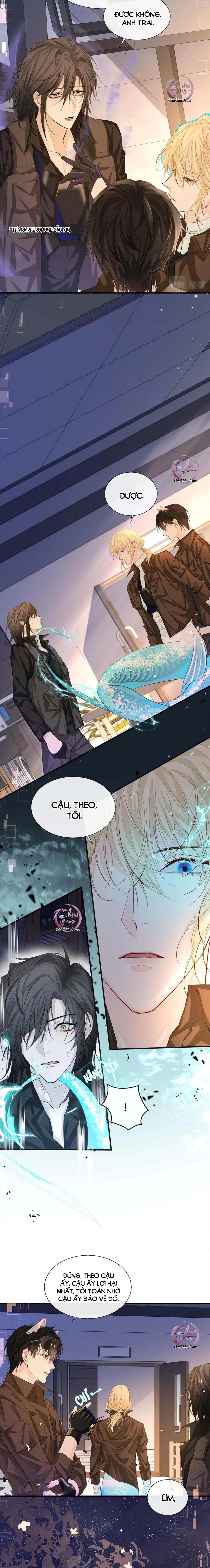 Rơi Vào Bẫy Nhân Ngư Chapter 12 - Trang 2