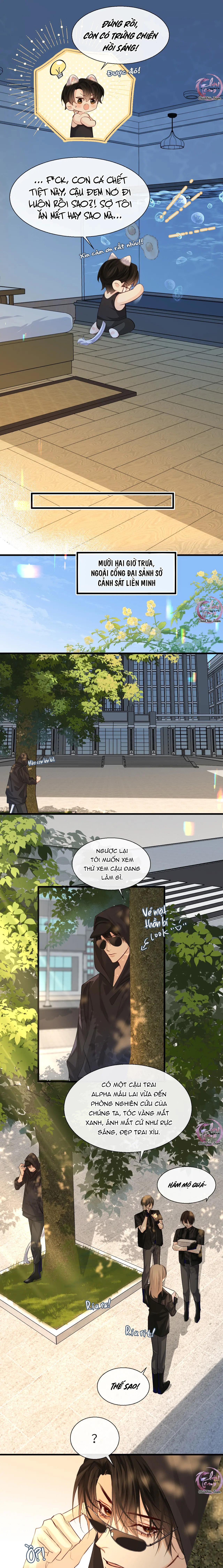 Rơi Vào Bẫy Nhân Ngư Chapter 24 - Trang 2