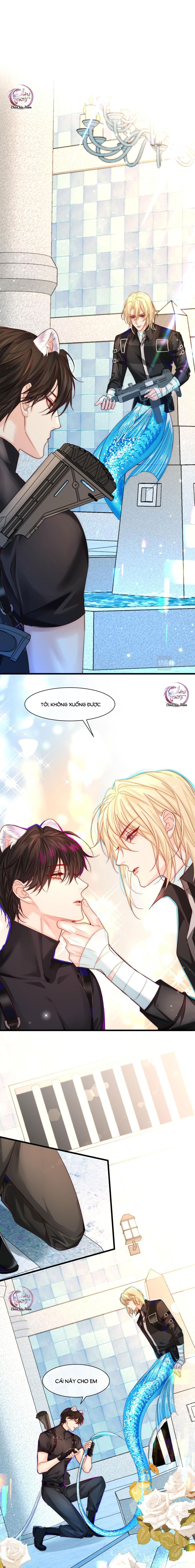 Rơi Vào Bẫy Nhân Ngư Chapter 34 - Trang 2