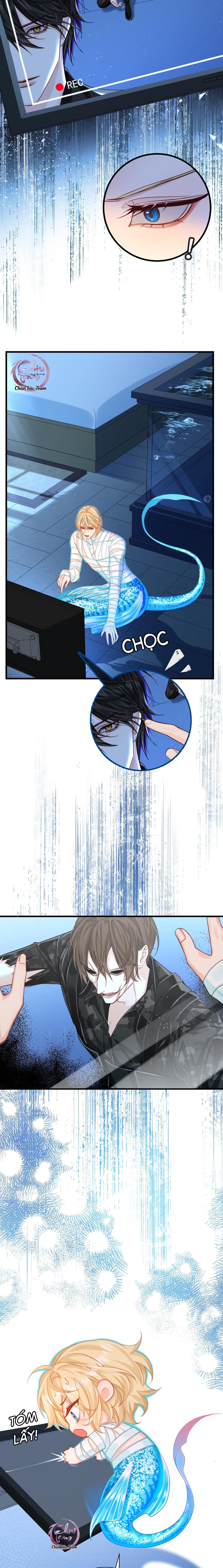 Rơi Vào Bẫy Nhân Ngư Chapter 49 - Trang 2