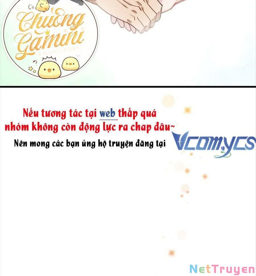 Cố Tổng, Vợ Của Ngài Quá Mạnh Rồi! Chapter 91 - Trang 2