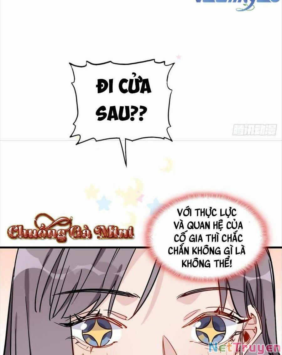Cố Tổng, Vợ Của Ngài Quá Mạnh Rồi! Chapter 91 - Trang 2