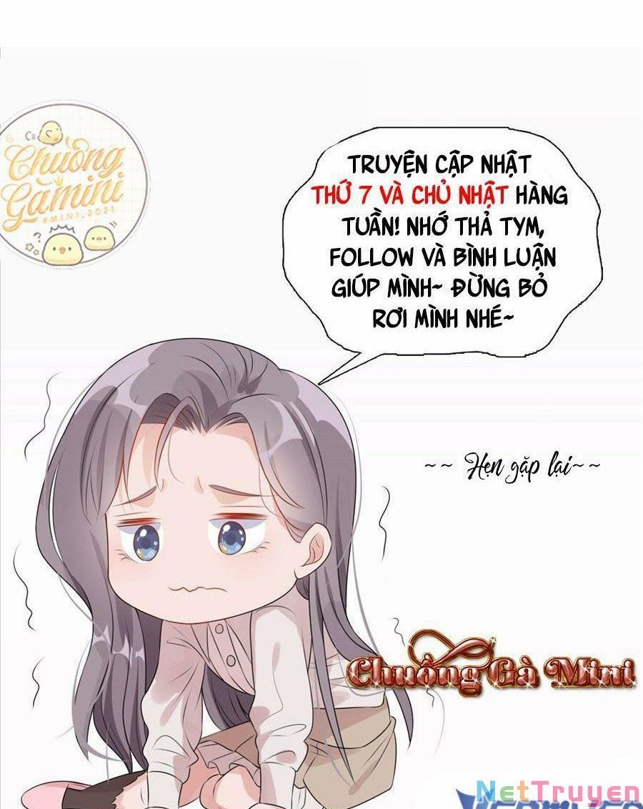 Cố Tổng, Vợ Của Ngài Quá Mạnh Rồi! Chapter 91 - Trang 2