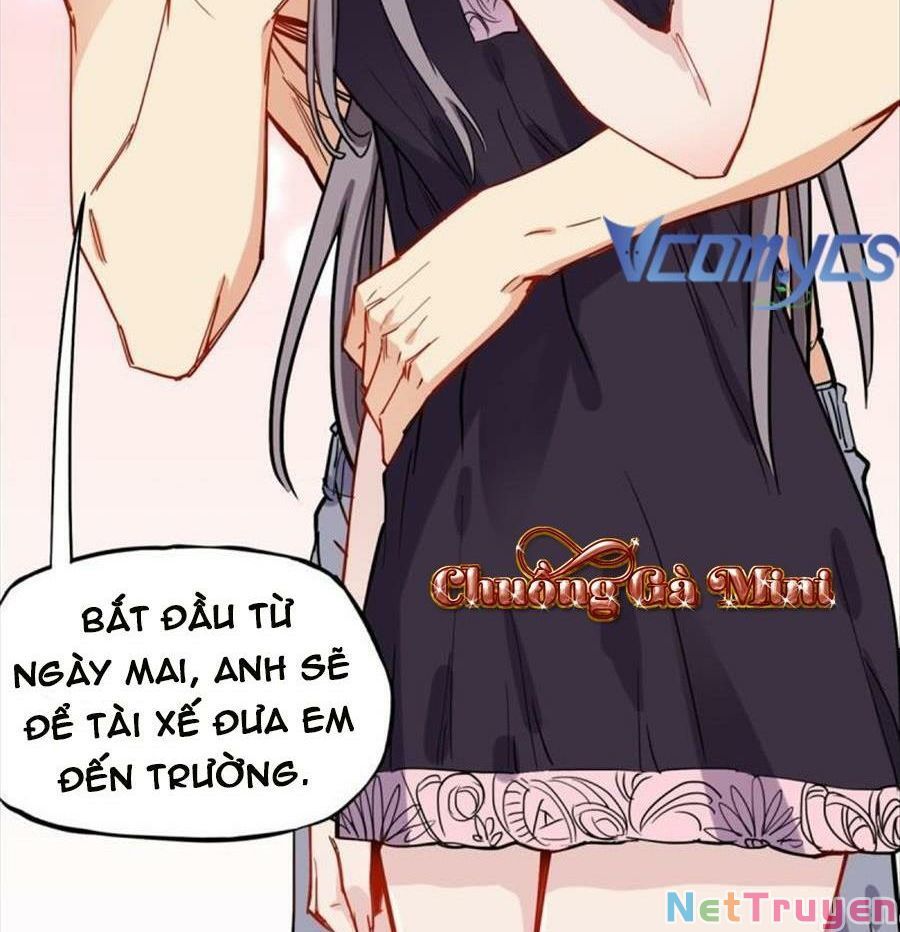 Cố Tổng, Vợ Của Ngài Quá Mạnh Rồi! Chapter 92 - Trang 2