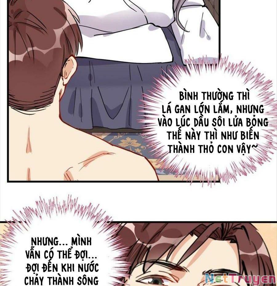 Cố Tổng, Vợ Của Ngài Quá Mạnh Rồi! Chapter 92 - Trang 2