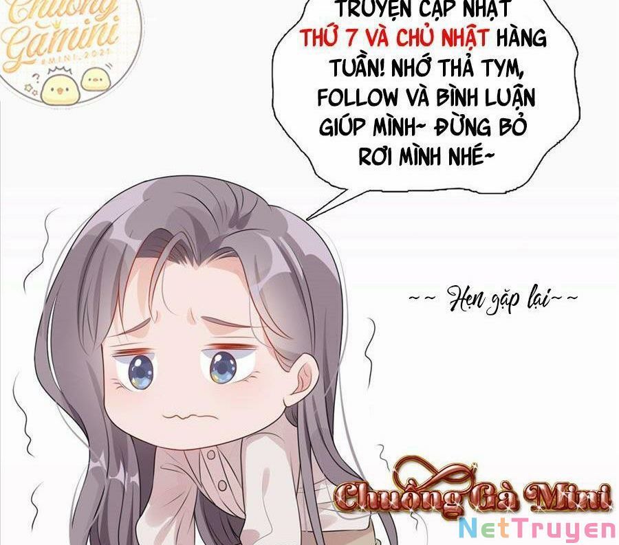 Cố Tổng, Vợ Của Ngài Quá Mạnh Rồi! Chapter 92 - Trang 2