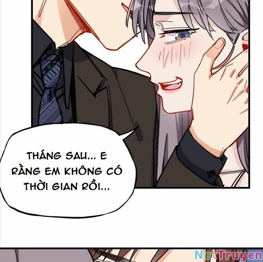 Cố Tổng, Vợ Của Ngài Quá Mạnh Rồi! Chapter 95 - Trang 2