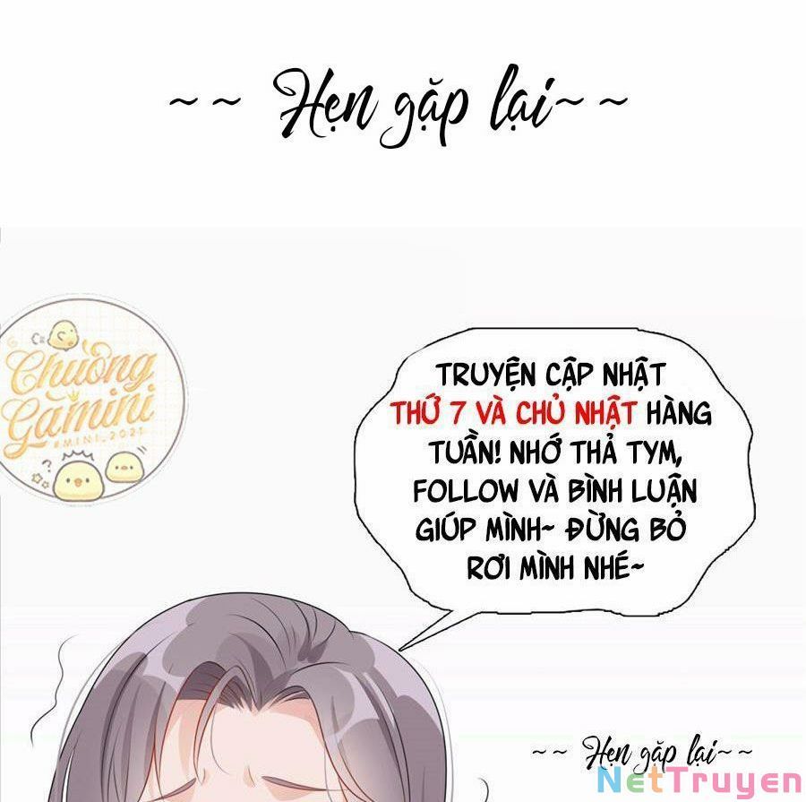 Cố Tổng, Vợ Của Ngài Quá Mạnh Rồi! Chapter 95 - Trang 2