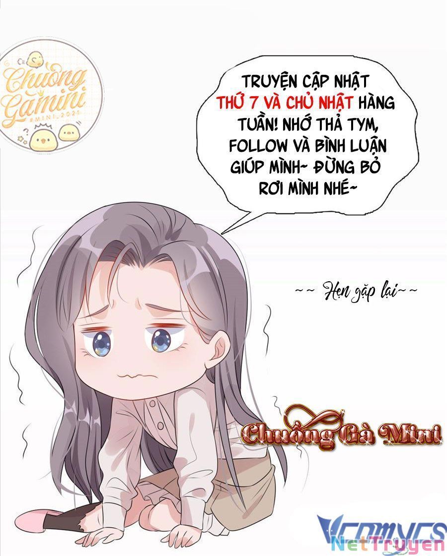 Cố Tổng, Vợ Của Ngài Quá Mạnh Rồi! Chapter 97 - Trang 2