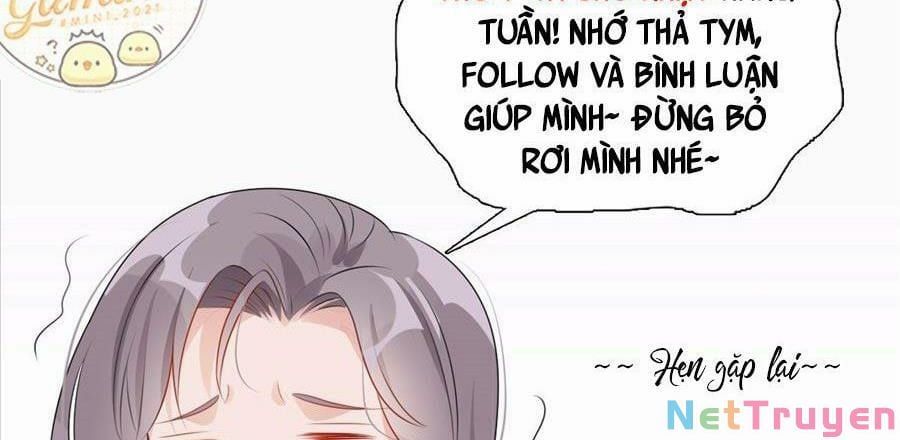 Cố Tổng, Vợ Của Ngài Quá Mạnh Rồi! Chapter 102 - Trang 2