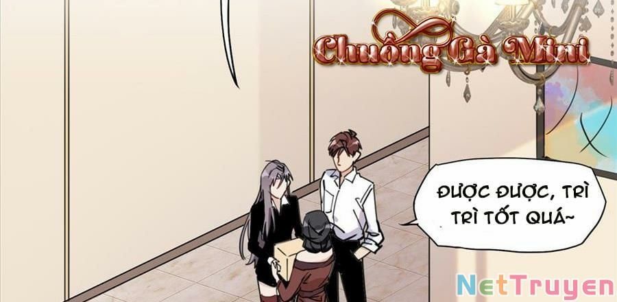 Cố Tổng, Vợ Của Ngài Quá Mạnh Rồi! Chapter 102 - Trang 2