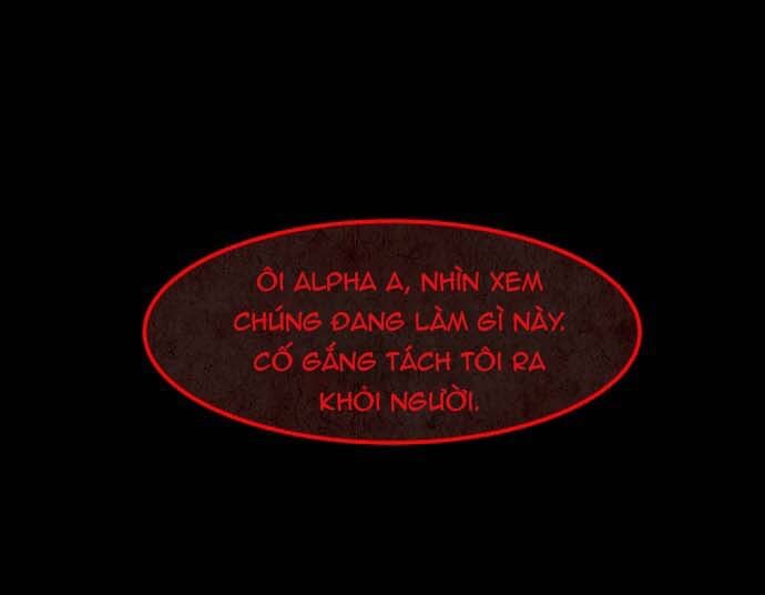 Cột Sống Đỏ Chapter 23 - Trang 2