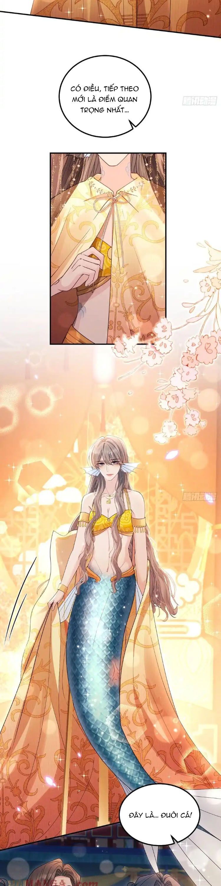 Tôi Hoài Nghi Ảnh Đế Đang Theo Đuổi Tôi Chapter 183 - Trang 2