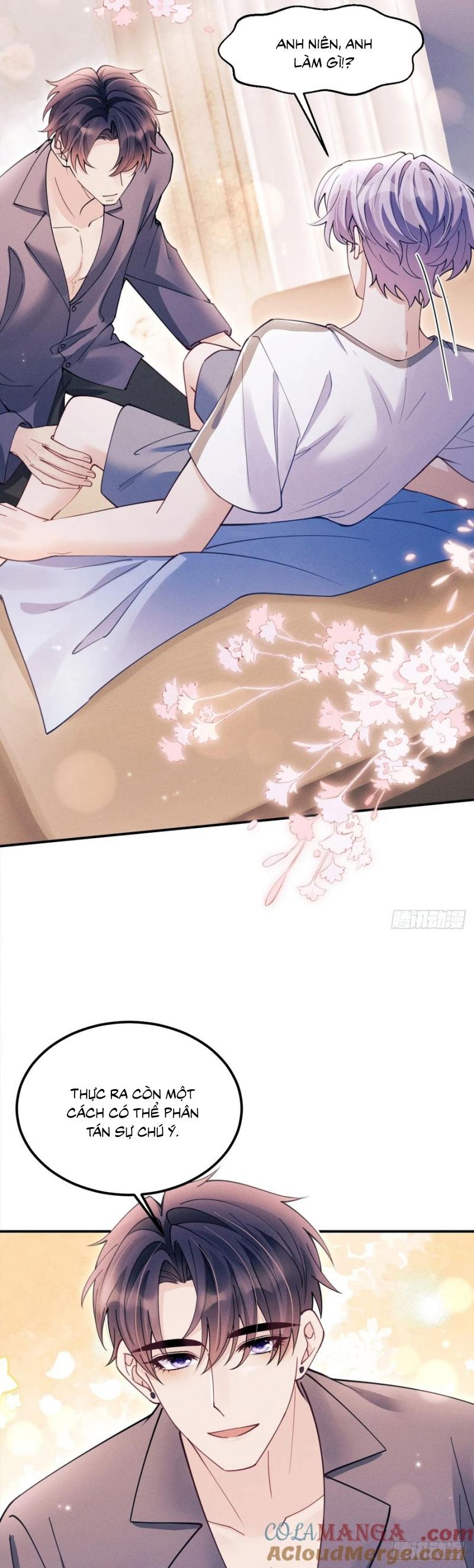 Tôi Hoài Nghi Ảnh Đế Đang Theo Đuổi Tôi Chapter 191 - Trang 2
