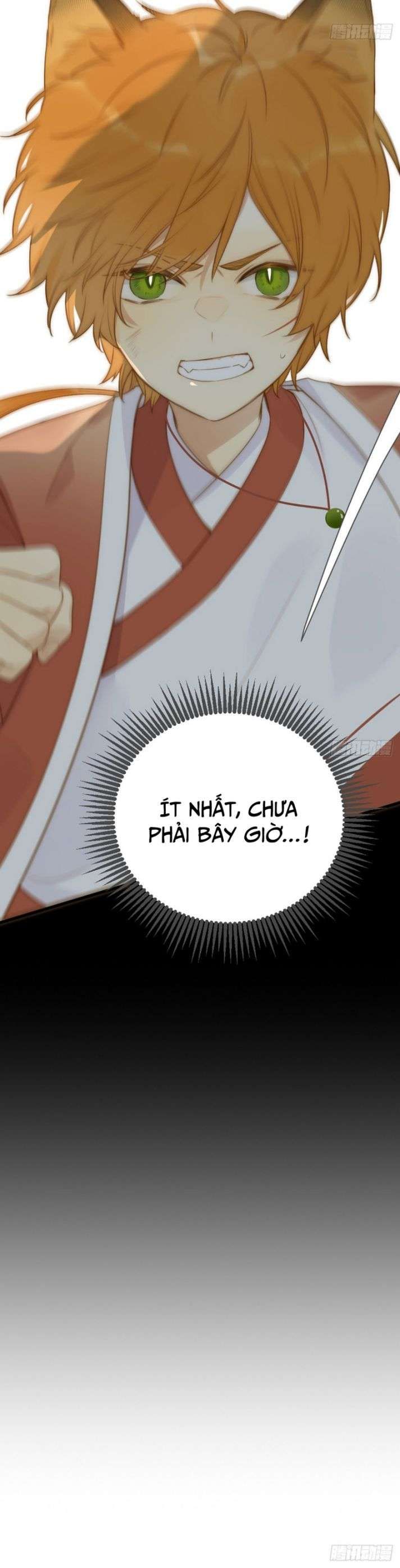 Chỉ Có Đuôi Là Không Thể Chapter 1 - Trang 2