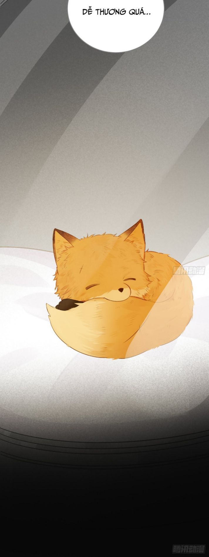 Chỉ Có Đuôi Là Không Thể Chapter 2 - Trang 2