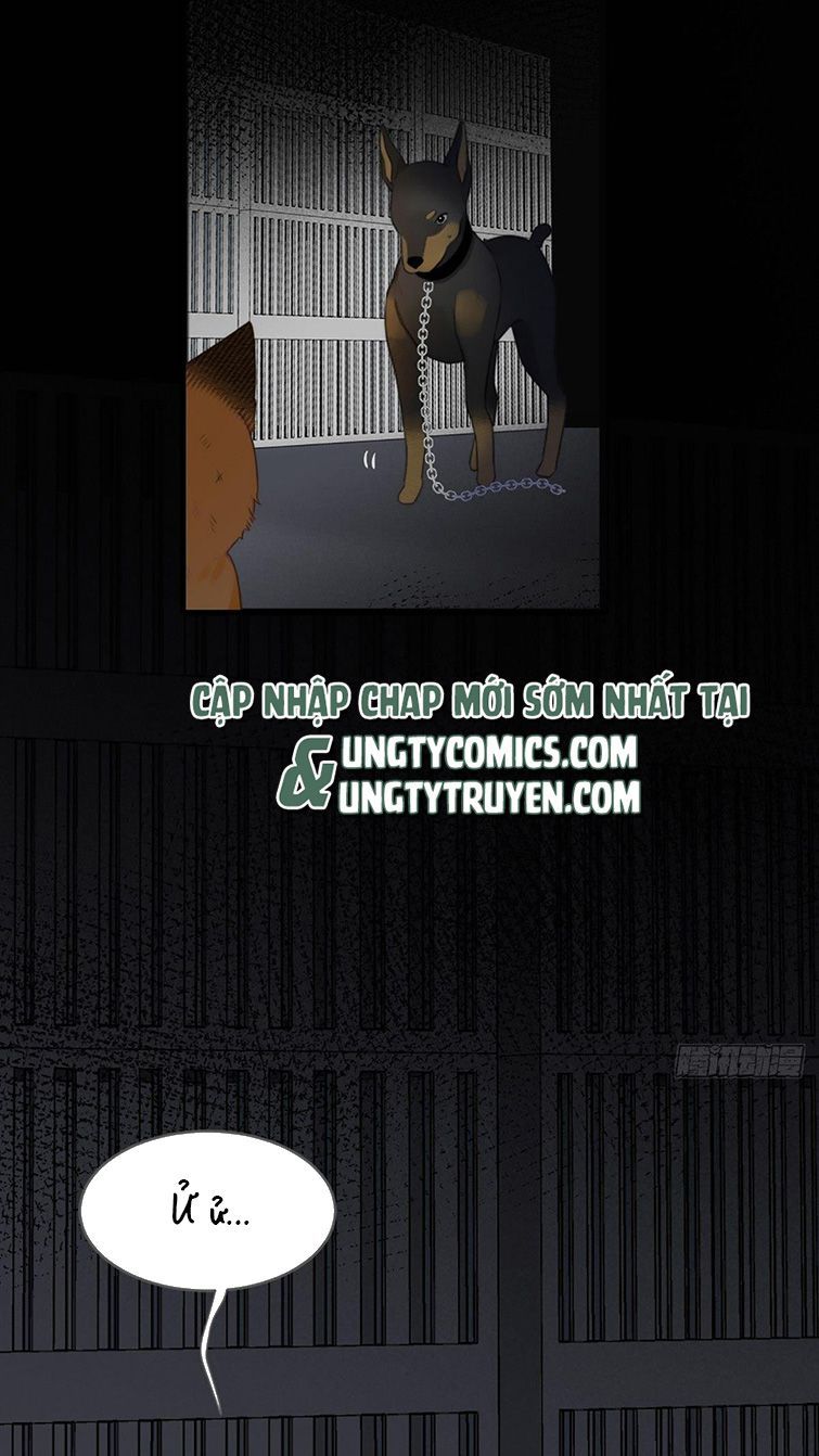 Chỉ Có Đuôi Là Không Thể Chapter 3 - Trang 2