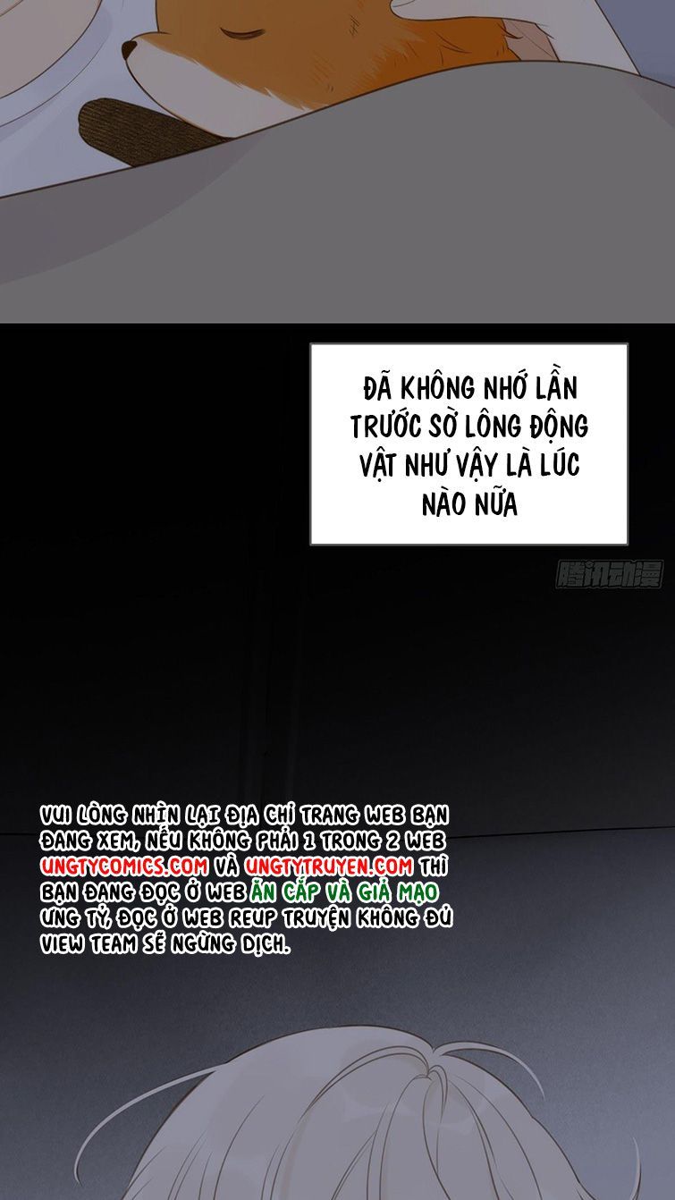 Chỉ Có Đuôi Là Không Thể Chapter 3 - Trang 2