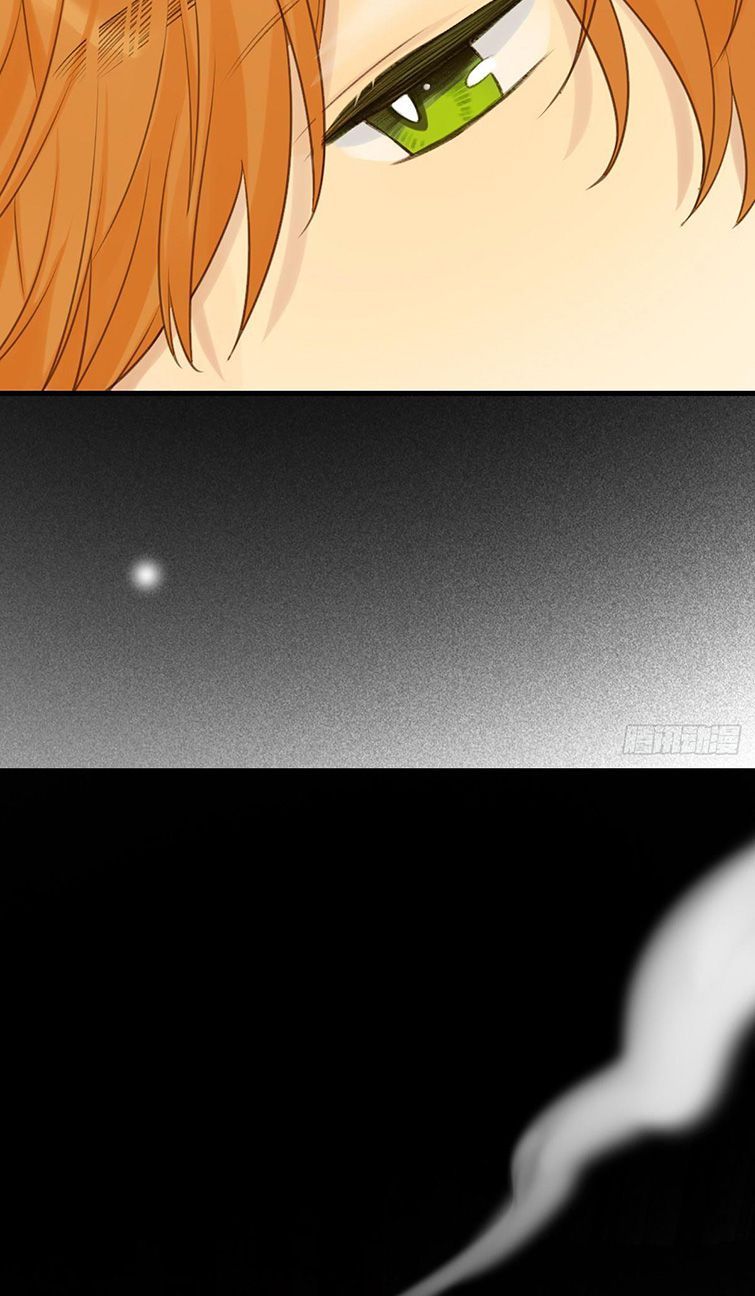 Chỉ Có Đuôi Là Không Thể Chapter 3 - Trang 2