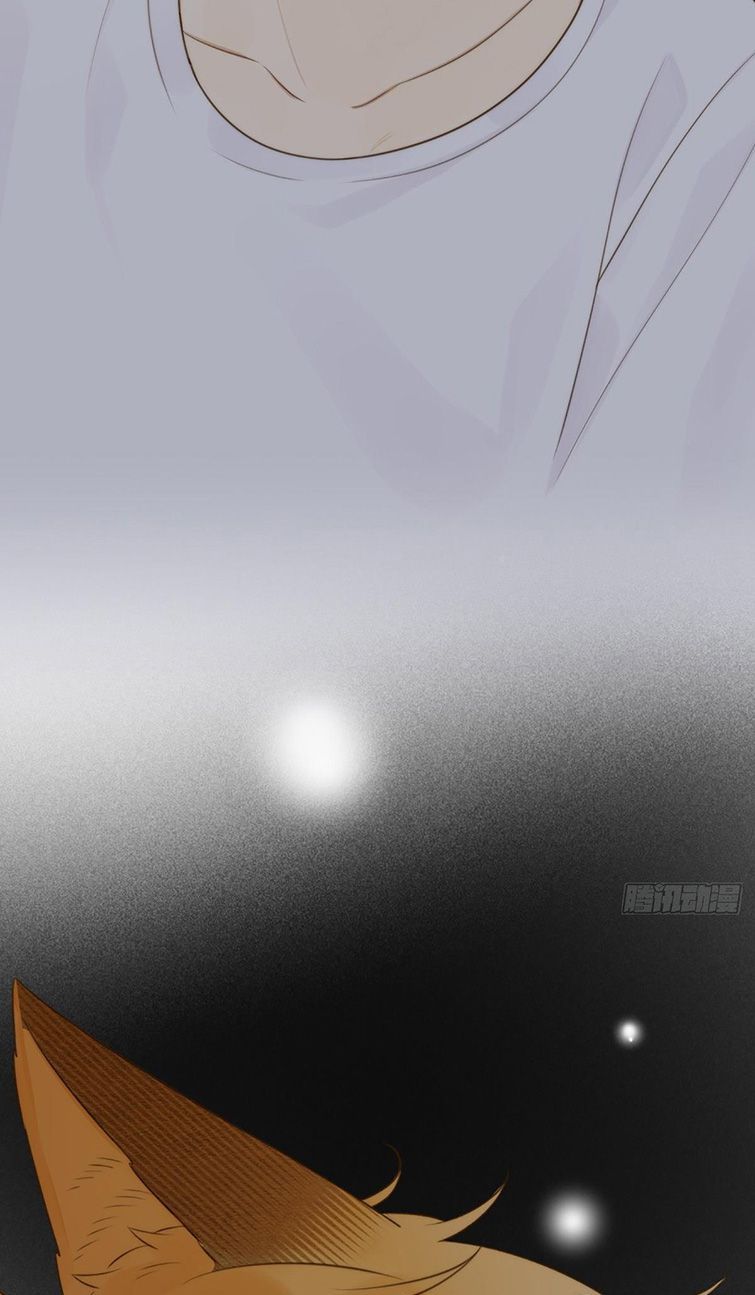 Chỉ Có Đuôi Là Không Thể Chapter 3 - Trang 2