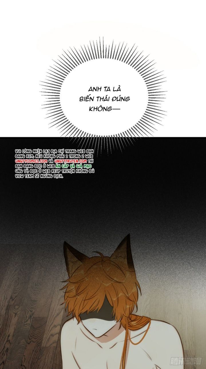 Chỉ Có Đuôi Là Không Thể Chapter 4 - Trang 2