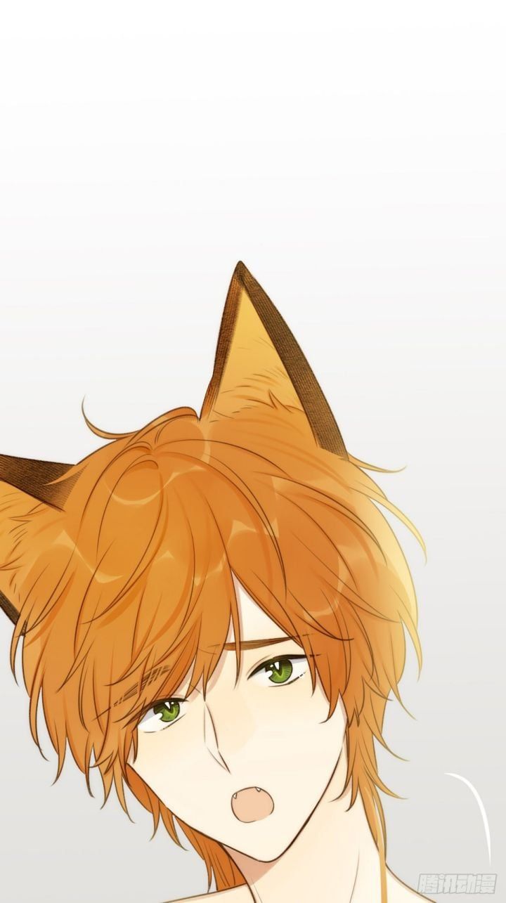 Chỉ Có Đuôi Là Không Thể Chapter 4 - Trang 2