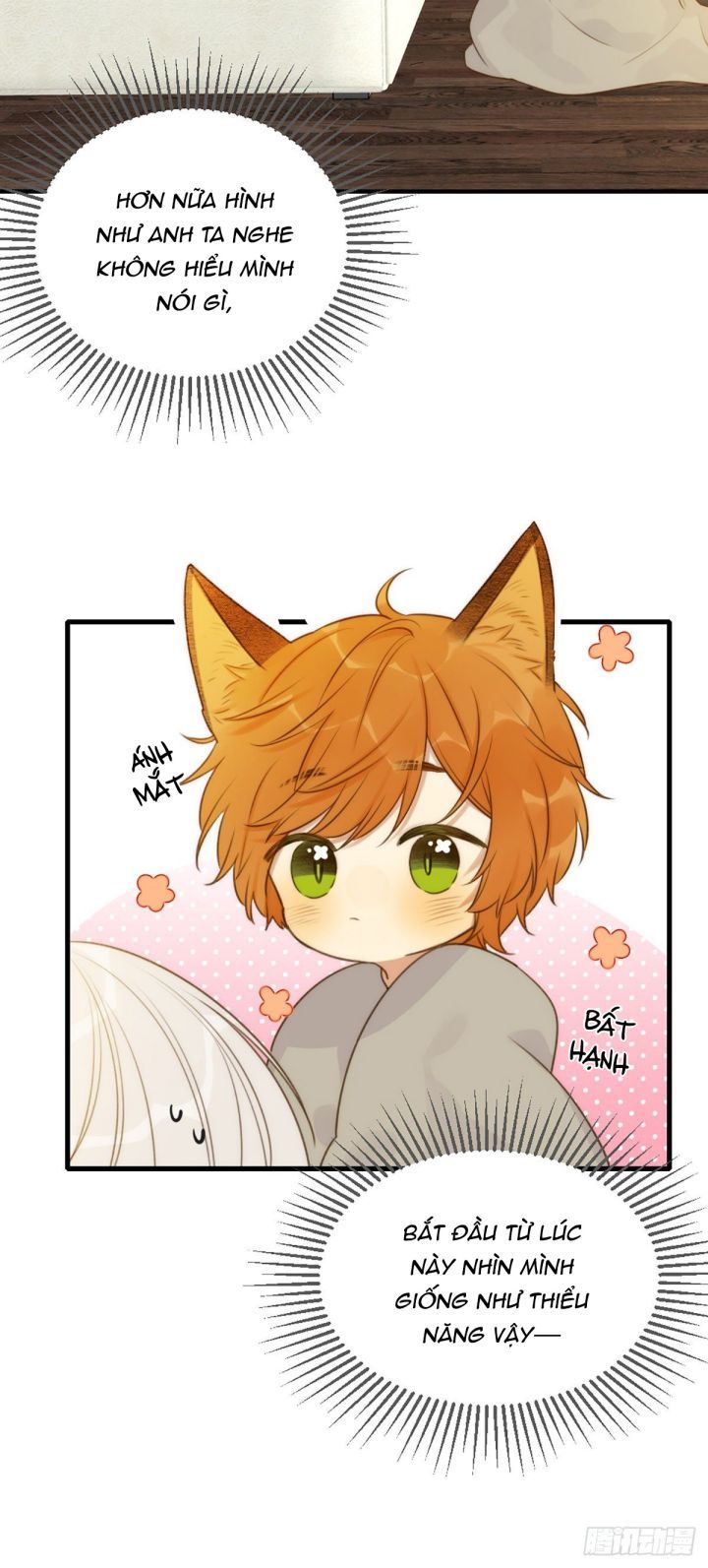 Chỉ Có Đuôi Là Không Thể Chapter 4 - Trang 2