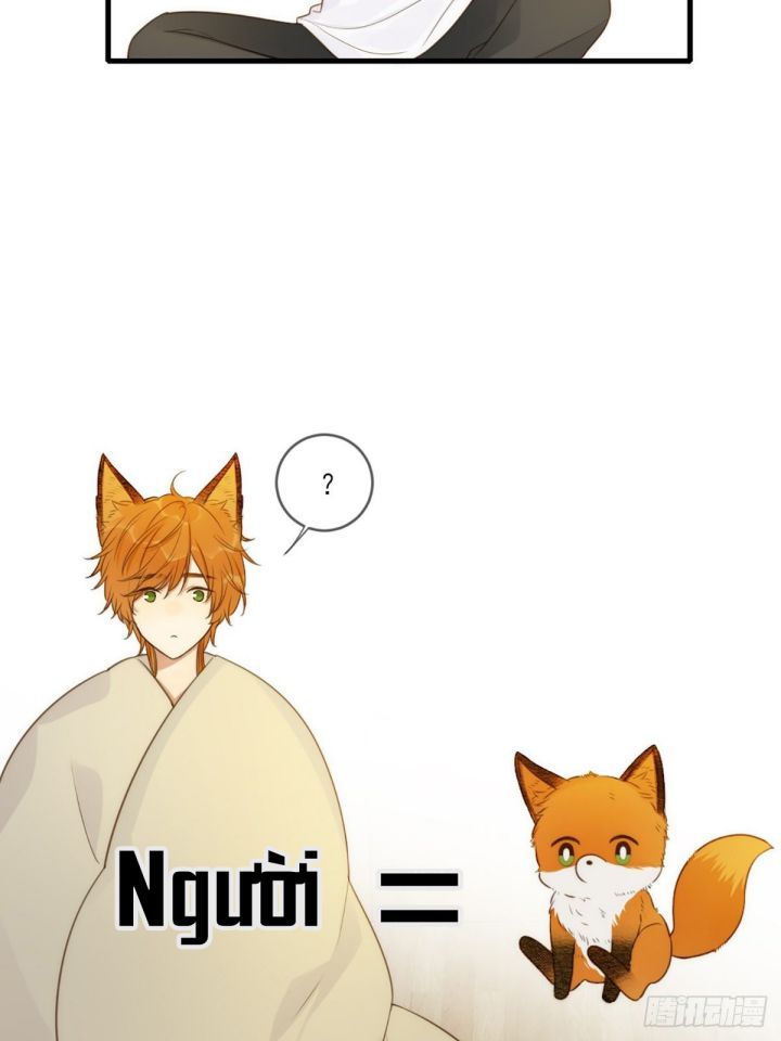 Chỉ Có Đuôi Là Không Thể Chapter 4 - Trang 2