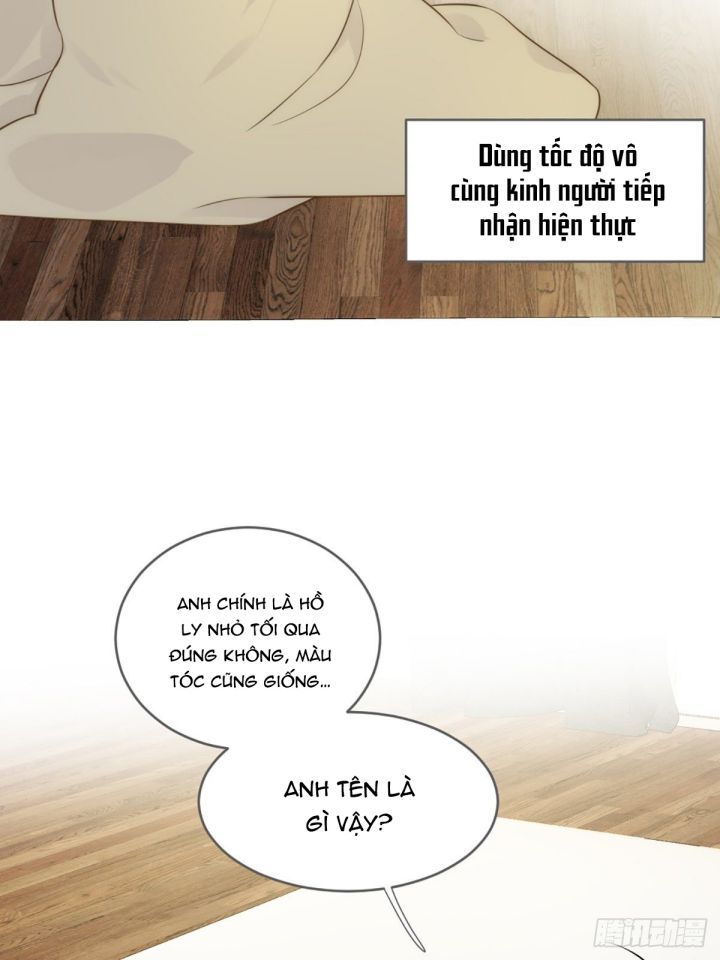 Chỉ Có Đuôi Là Không Thể Chapter 4 - Trang 2