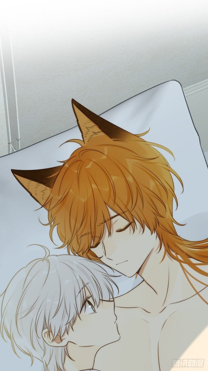 Chỉ Có Đuôi Là Không Thể Chapter 4 - Trang 2