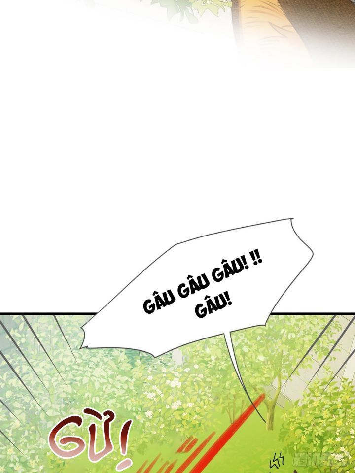 Chỉ Có Đuôi Là Không Thể Chapter 4 - Trang 2