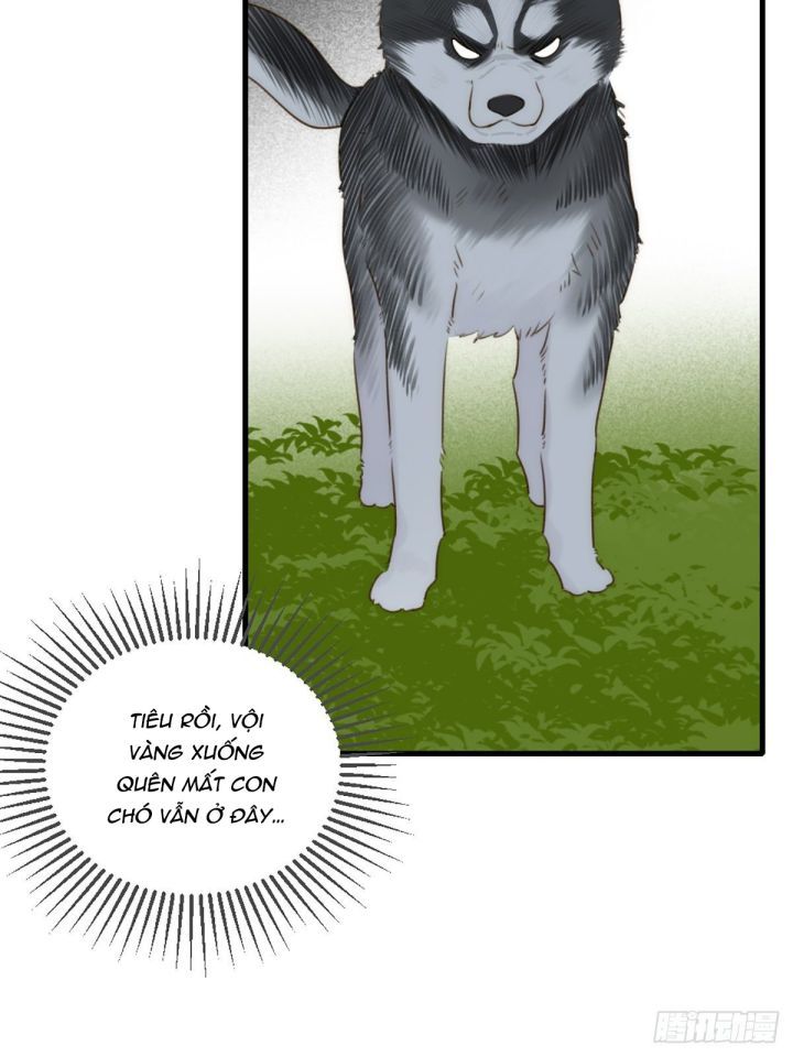 Chỉ Có Đuôi Là Không Thể Chapter 4 - Trang 2