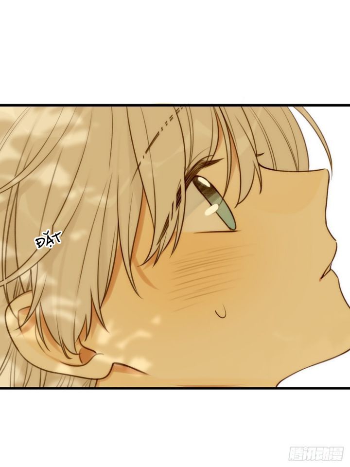 Chỉ Có Đuôi Là Không Thể Chapter 4 - Trang 2